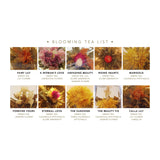 Blooming Tea Assortment